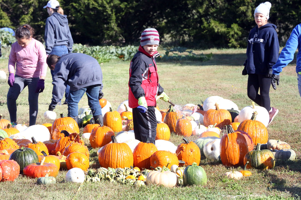 St Joseph Pumpkin Patch (2).jpg